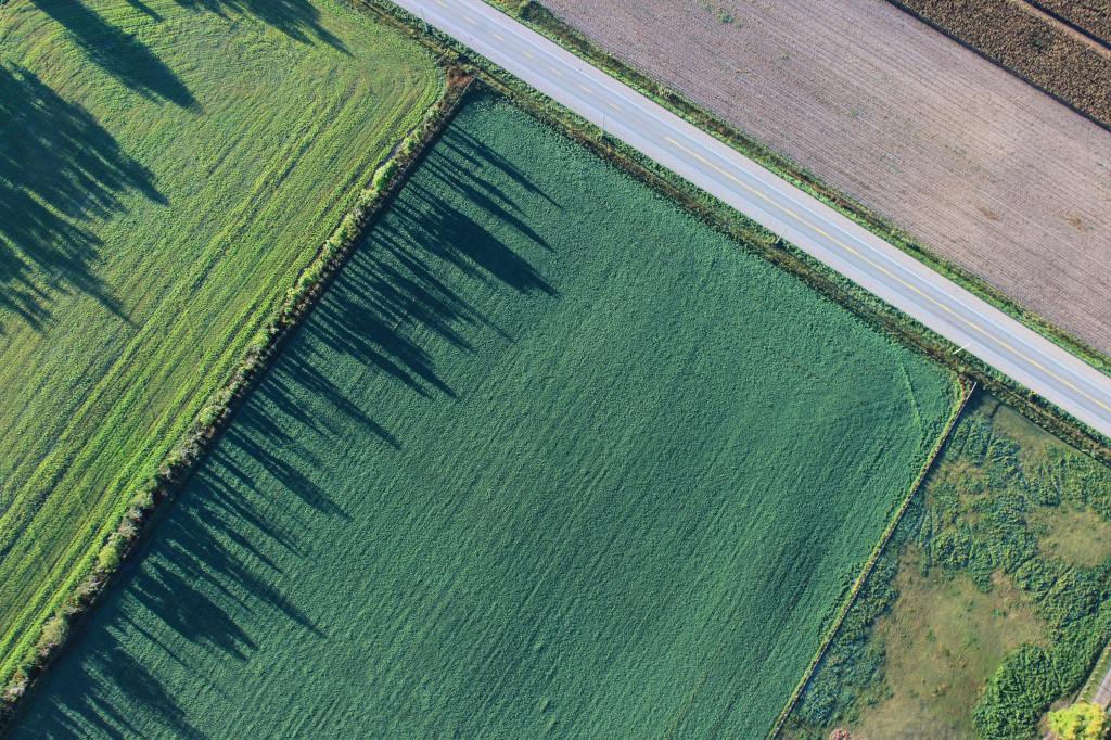 an aerial view of some crops